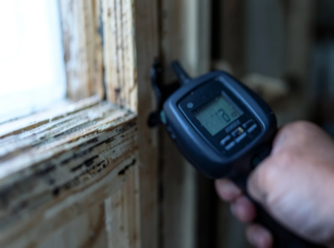 Moisture Inspection And Documentation in Point Lookout, NY